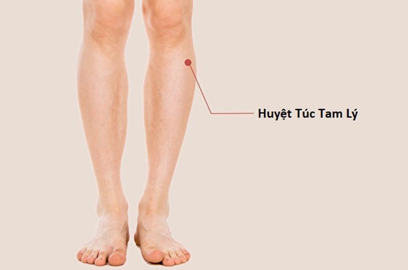 cac-huyet-dao-quan-trong-trong-duong-sinh-3