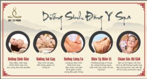 he-thong-spa-duong-sinh-dong-y-tai-viet-nam-1