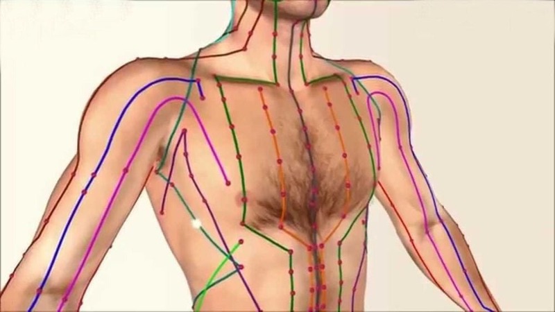 kinh-lac-trong-duong-sinh-1