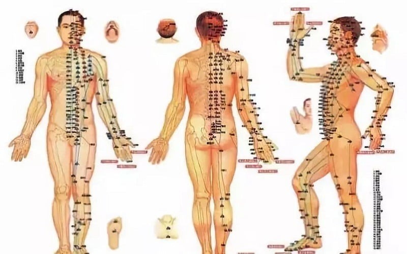 kinh-lac-trong-duong-sinh-2
