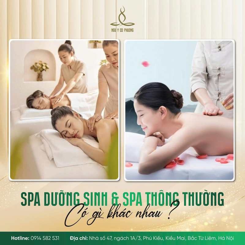 Massage dưỡng sinh khác gì massage thư giãn?