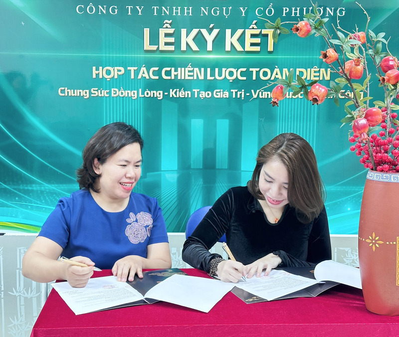 Ưu tiên lựa chọn trung tâm có kinh nghiệm đào tạo và đồng hành cùng học viên