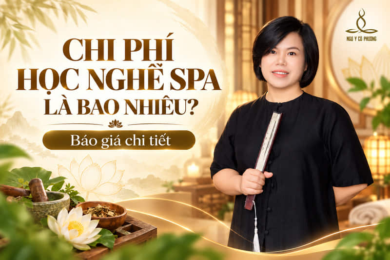 Chi phí học nghề spa là bao nhiêu? Báo giá chi tiết