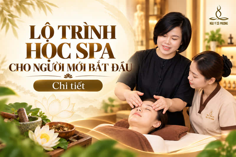 Lộ trình học spa cho người mới bắt đầu chi tiết